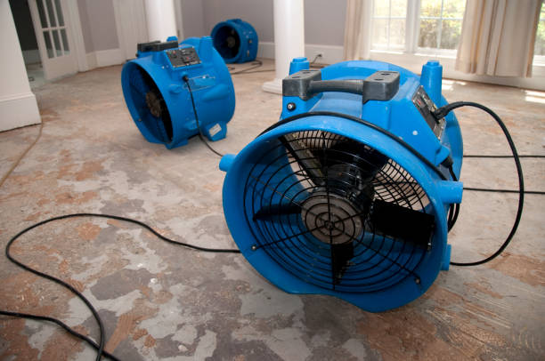 Best Mold removal after water damage  in Mp Pendleton South, CA